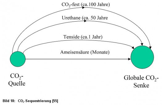 Bild 18: CO2-Sequestrierung [55]